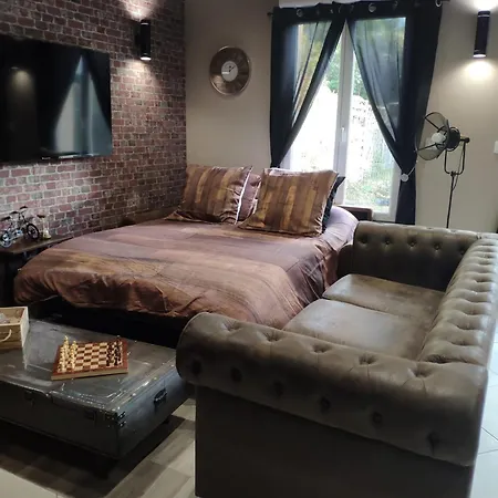 Apartament Le Manhattan Authentique Maison Climatisee 78 M2 *